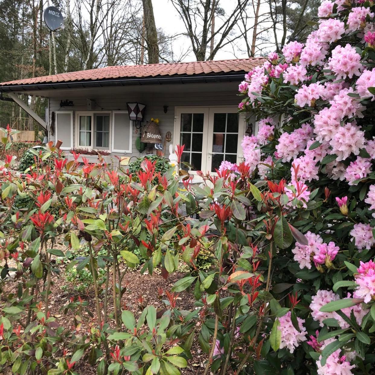 Chalet 2Relax Zutendaal Εξωτερικό φωτογραφία